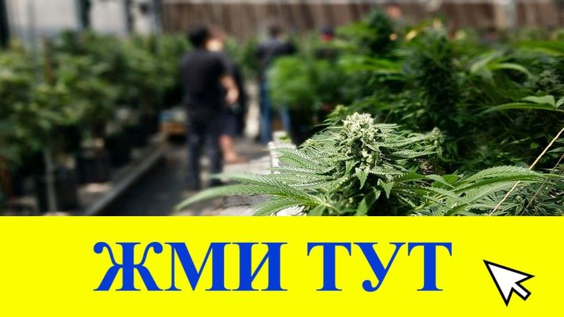 Купить наркотики в Благодарном